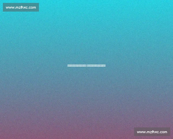 林书豪黄蜂大战热火精彩回顾 力拼季后赛席位展现个人风采